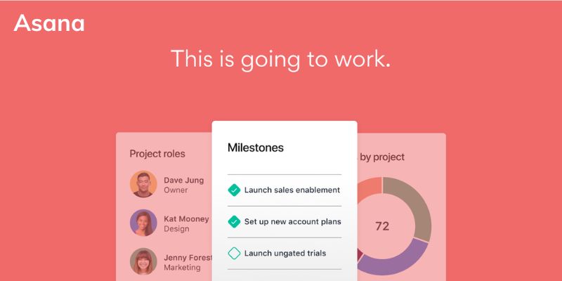 Project Management Software For Small Businesses Asana 