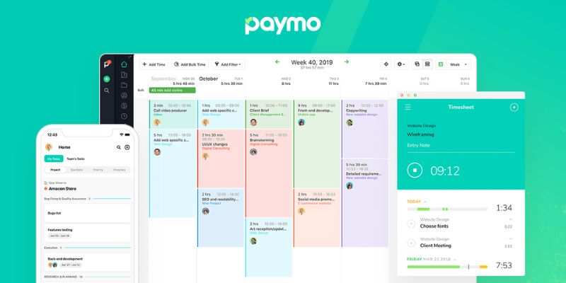 Project Management Software For Small Businesses Paymo