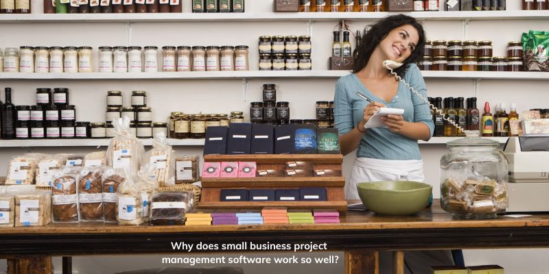 Why does small business project management software work so well