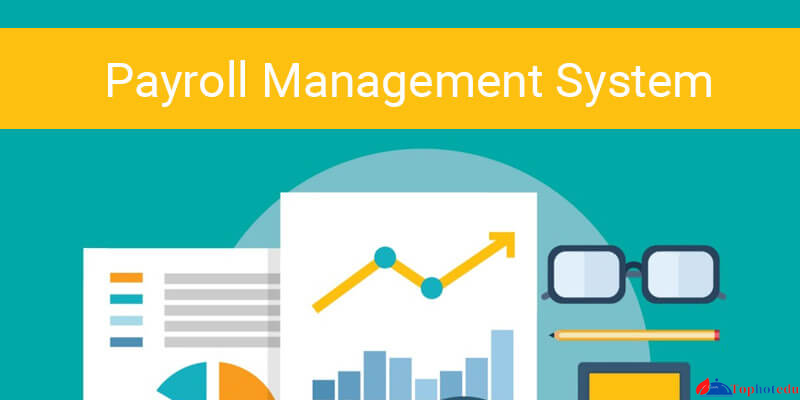 Understanding Payroll Management Software